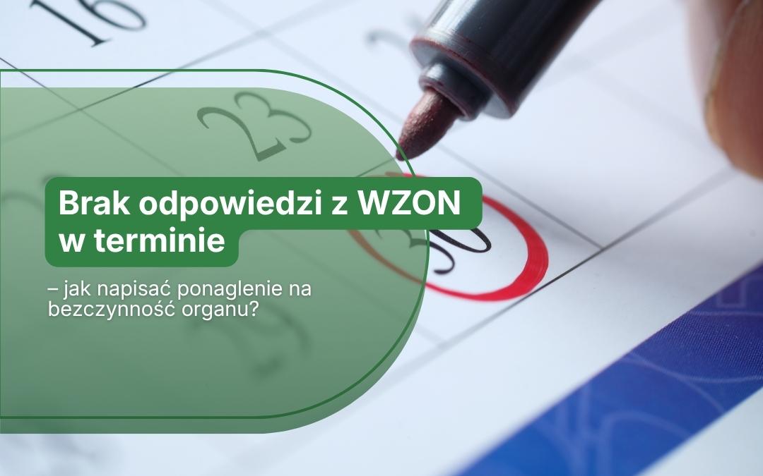 brak_odpowiedzi_wzon